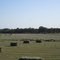 Arnold's Farm