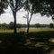 Lakeview