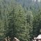 Squilchuck Road
