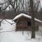 Shelter #3