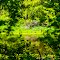 Framed Pond