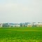 Farmland between Delavan and Elkhorn