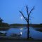 the moon at sunset