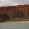 Pigeon Creek Lake Norfork Arkansas