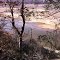 Pigeon Trail 204