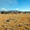 High Plains meadow