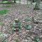 Piled Rocks And Cement Marker Next to Trail - No Idea What Marker Is