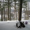 Ice Covered Lake and Woods