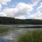 Brush Lake
