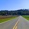 Cruising on my 2008 Harley Roadking Classic