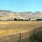 Wahallich - Jesse Morrow Mountain Pano