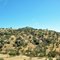 Kings Canyon Rd