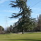 My 1st Birdie 2008 Far From Home