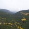 MT EVANS AREA - BEAUTIFUL VIEWS!