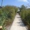 Trail on Indian Key