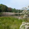 Grand Beach Marsh Preserve