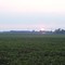 huntley_fields