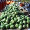 apple squash