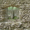The Thicket sugar mill ruins, built of tabby, destroyed by 1824 hurricane (7-2009)