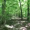 Kenlake State Park Trails