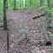 Kenlake State Park Trails