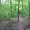 Kenlake State Park Trails