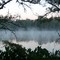 Bayou Teche near Morgan City, LA.