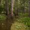 You could spend hours paddling through this maze