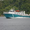 Taken from the boat ramp on Lower Atchafalaya River, south of Berwick,  Louisiana  (June 2006)