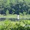 Halls Lake