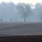 A foggy field in late fall  (Albion, MI)
