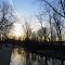 North branch of Rice Creek