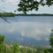 Rice Lake Park