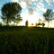 Backyard View