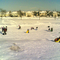 Sledding