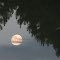 Full moon rising from water