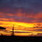 Sunsets