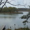 Lake Milton (from Carson's Landing)