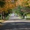 Fall on Jefferson Road