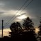 Summer Sunset of Heath