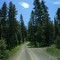 Pine Creek Rd...