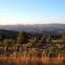 The view for the Maury Mountains Agate Beds