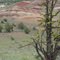 The painted Hill of Juniper Hills Natural Area
