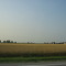 Amish Field in Indiana