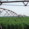 Corn, Corn, Corn...