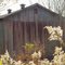 abandoned Tennessee tobacco barn