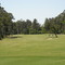 Signature hole