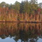 ICW reflections  www.maltesefalcon.ca