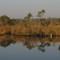 ICW reflections  www.maltesefalcon.ca