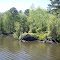 VIRGINIA: ATLANTIC INTRACOASTAL WATERWAY: forest by the waterside